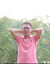dennismi