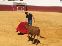 oslhoyos