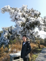 zhangalex