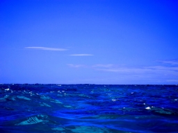 blue_ocean100