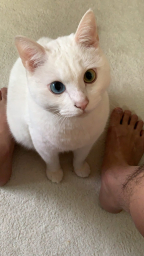 jiro77