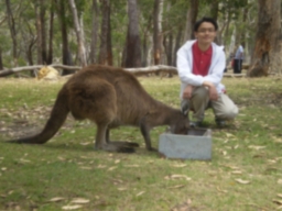 loveforeignlanguages