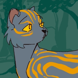 meerkattack