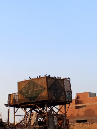 shroukawad