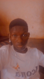 timsibe